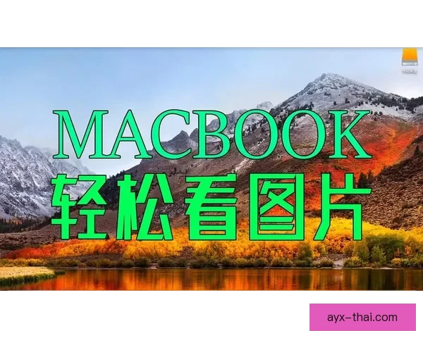 九州体育官网入口最新优惠活动全面解析及注册指南